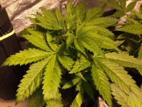 IMG_1038.webp IMG_1038.webp