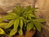 IMG_1039.webp IMG_1039.webp