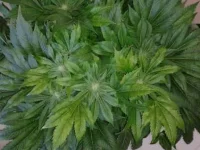 20150210_104317.webp