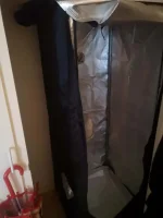 16034397851454996787698375339019.webp