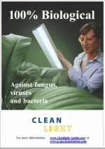 clean light.webp