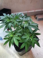 20201122_120310.webp