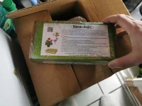 IMG_20201229_145508.webp