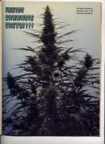 cannabiscastle-8.webp