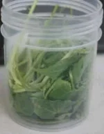 4-tips-in-container-232x300.webp