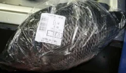 fish1-500x290.webp fish1-500x290.webp
