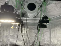 6 lampes.webp 6 lampes.webp
