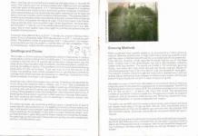 16.webp
