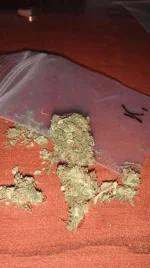 IMAG1176.webp