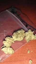 IMAG1180.webp