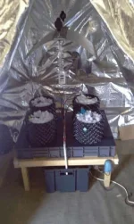 IMAG1400.webp IMAG1400.webp