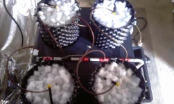 IMAG1404.webp IMAG1404.webp