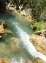 312309_2211089909636_1019148625_2631490_2291139_a.webp