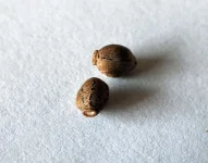 DSCF9911.webp