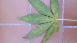 20150527_203746.webp 20150527_203746.webp