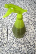 foliaire.webp