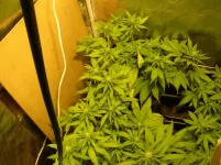DSCN4368.webp