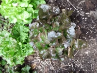 20150610_071053.webp