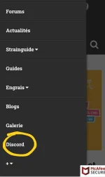 Screenshot_20210202-071418_Chrome.webp
