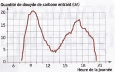 Capture d’écran (102).webp Capture d’écran (102).webp