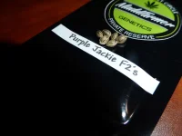 PJackie.webp