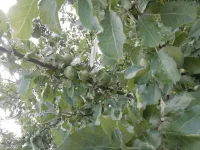 20150618_183659.webp
