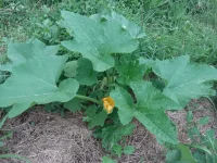20150618_185838.webp
