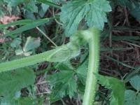 20150618_190028.webp