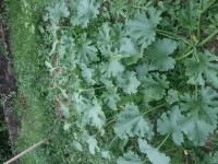 20150618_190125.webp