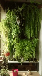 IMG_20150614_131931972.webp