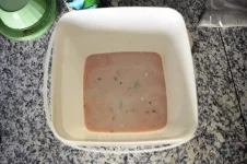 test-fish2.webp