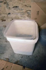 test-fish5.webp
