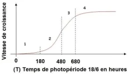 Sans titre.webp