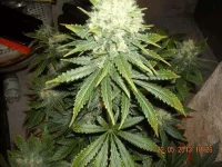 DSCN0031.2.webp
