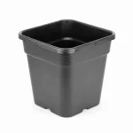 11L Square Wilma Pot.webp