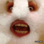 tenor - 2021-04-12T195832.076.gif