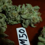 Mix-M50, (2).webp Mix-M50, (2).webp