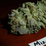 Mix-M50, (1).webp Mix-M50, (1).webp