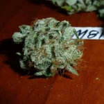 Mix-M81 (4).webp