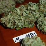 Mix-M81 (6).webp