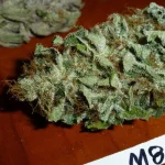 Mix-M81 (7).webp