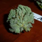 Mix-M81 (8).webp
