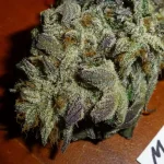 Mix-M29...webp