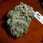 Mix-M29....webp