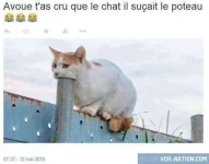 cdcddfdd339538200ff675e47c62ab4a.webp