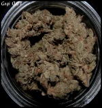 Goji 1 sèche - 1.webp