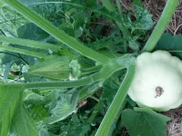 20150625_190017.webp