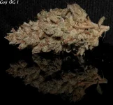Goji 1 sèche - 3.webp