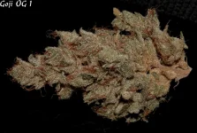 Goji 1 sèche - 4.webp