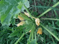 20150625_190229.webp